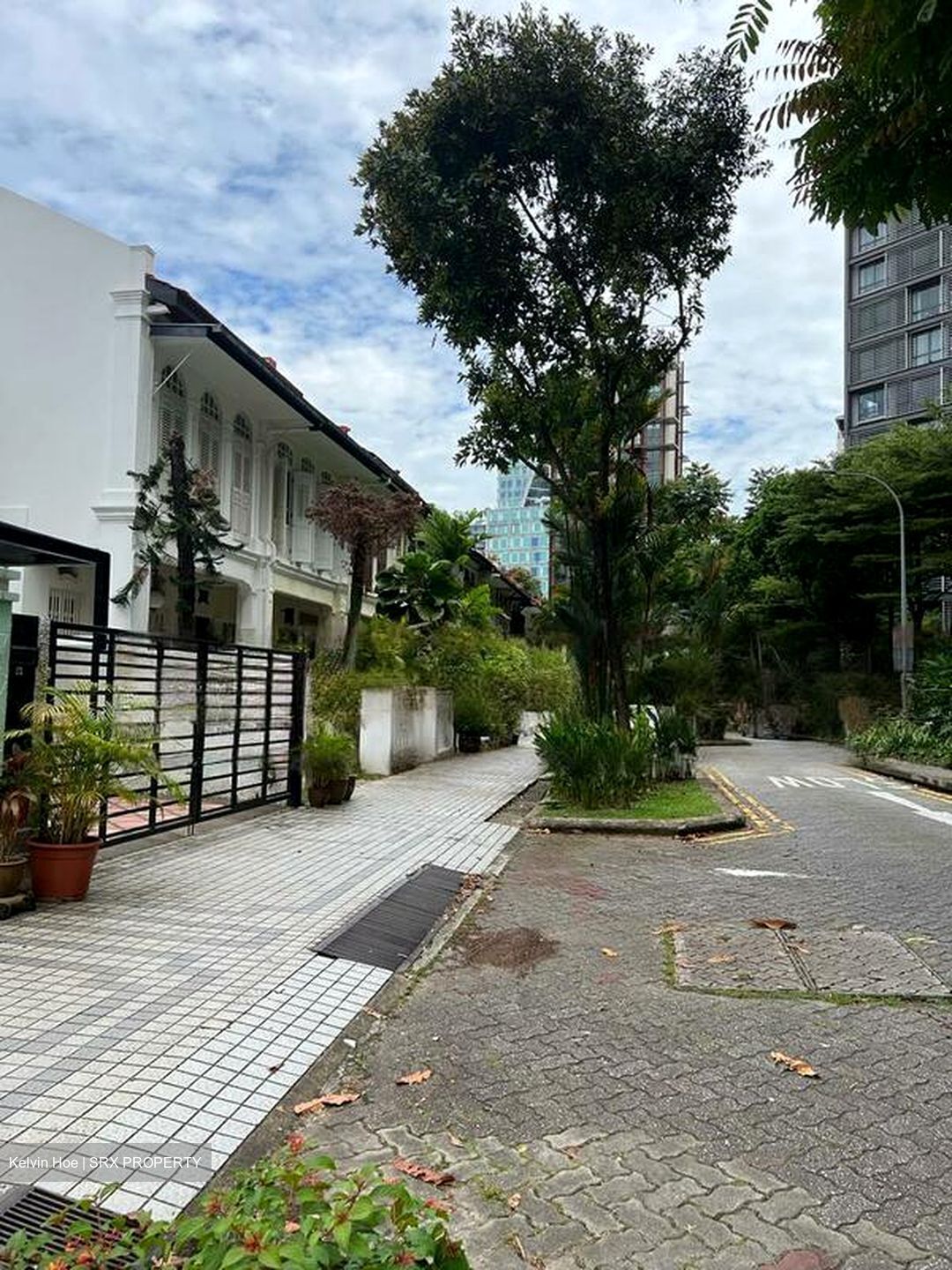Emerald Hill Road (D9), Terrace #458873511